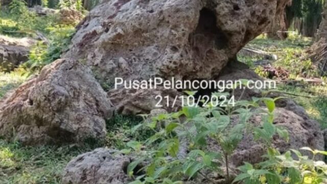 geoguide perak Kak Shiema 01