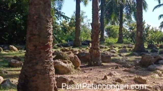 geoguide perak Kak Shiema 02